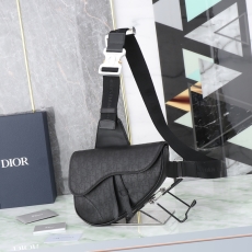 Christian Dior Saddle Bags